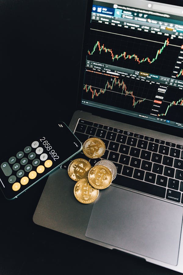 Top 7 Cryptocurrencies